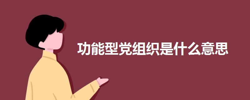 功能型党组织是什么意思