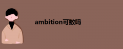 ambition可数吗