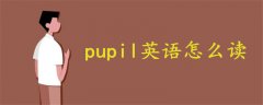 小学生英语怎么读 发音pupil