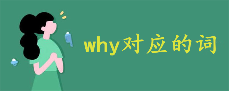 why对应的词