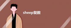 sheep复数