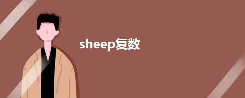 sheep复数