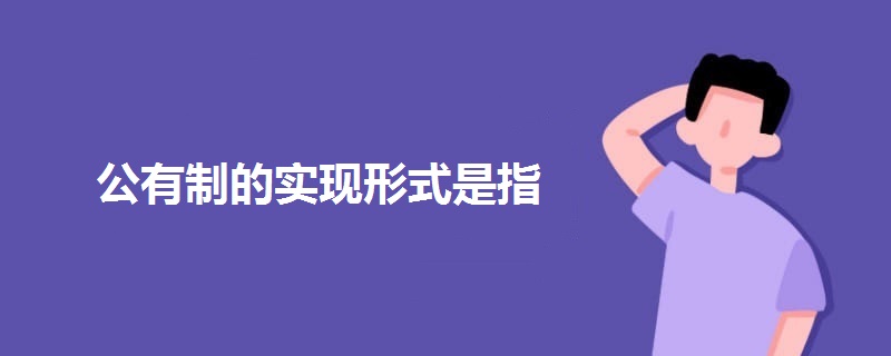 公有制的实现形式是指