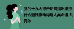 党的十九大报告明确提出坚持什么道路推动构建人类命运共同体