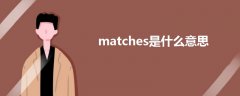 matches是什么意思