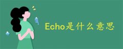 Echo是什么意思中文