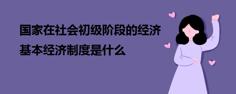 国家在社会初级阶段的经济基本经济制度是什么