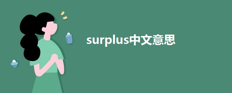 surplus中文意思