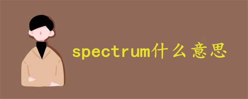 spectrum什么意思中文