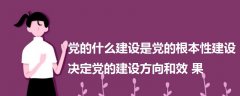 党的什么建设是党的根本性建设决定党的建设方向和效果