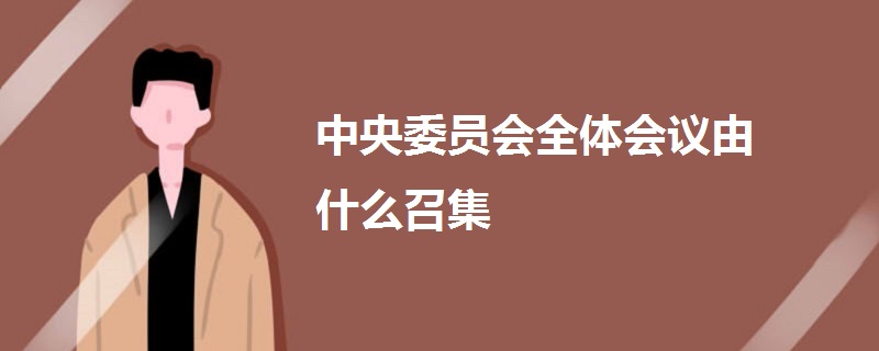 中央委员会全体会议由什么召集