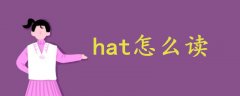 hat怎么读