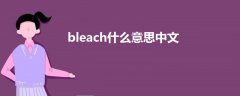 bleach什么意思中文