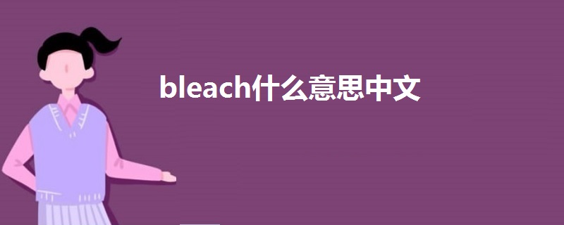 bleach什么意思中文