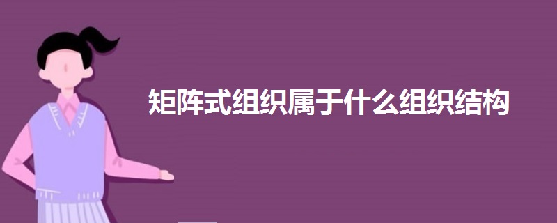 矩阵式组织属于什么组织结构