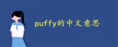 puffy的中文意思