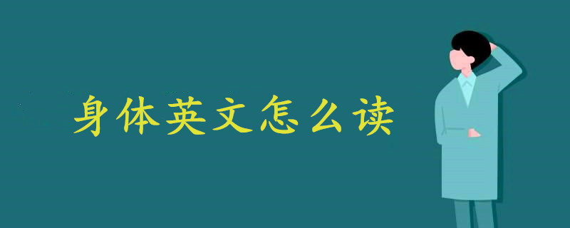 身体英文怎么读音声音