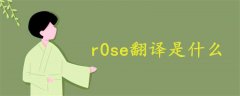 r0se翻译是什么