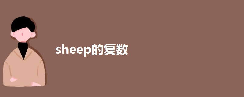 sheep的复数