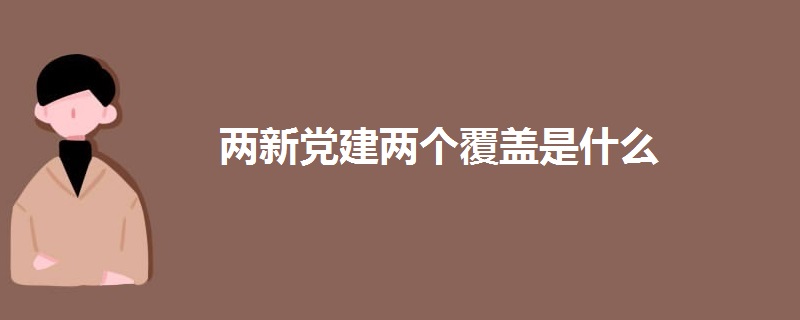 两新党建两个覆盖是什么