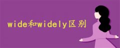 wide和widely区别