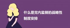 什么是党内监督的战略性制度安排