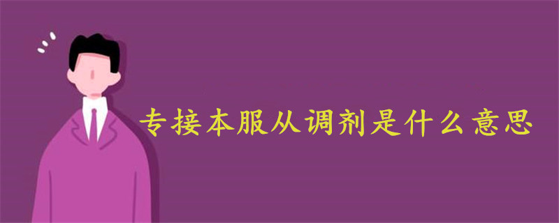 专接本服从调剂是什么意思