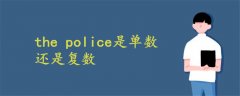 the police是单数还是复数