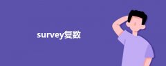 survey复数