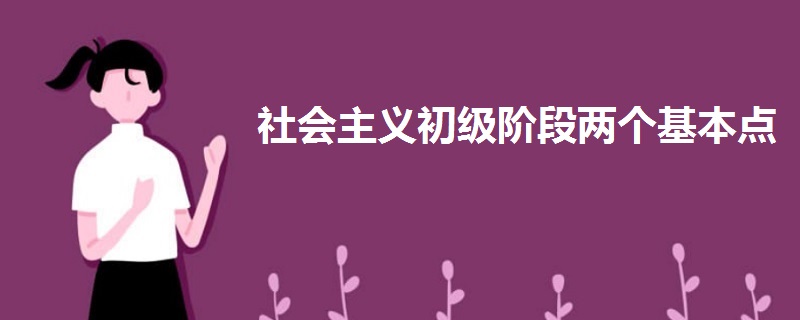 社会主义初级阶段两个基本点