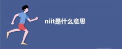 niit是什么意思