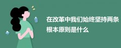 在改革中我们始终坚持两条根本原则是什么