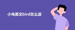 小鸟英文bird怎么读