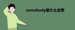 somebody是什么意思