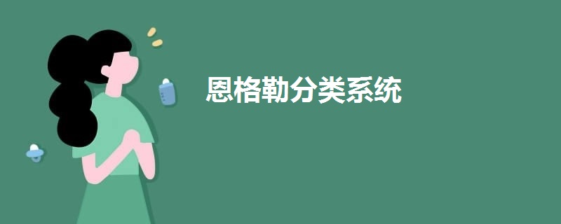 恩格勒分类系统