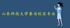 山东科技大学泰安校区专业