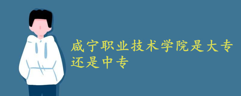 咸宁职业技术学院是大专还是中专