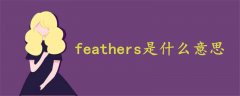 feathers是什么意思