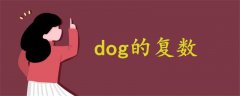 dog的复数