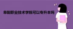 阜阳职业技术学院可以专升本吗