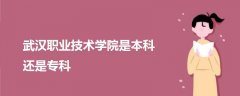 武汉职业技术学院是本科还是专科