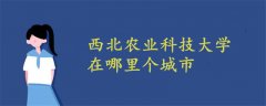 西北农业科技大学在哪里个城市