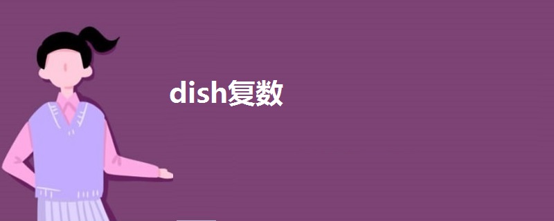 dish复数