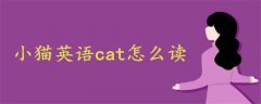 小猫英语cat怎么读