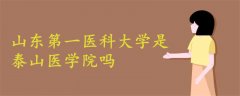 山东第一医科大学是泰山医学院吗