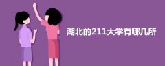 湖北的211大学有哪几所