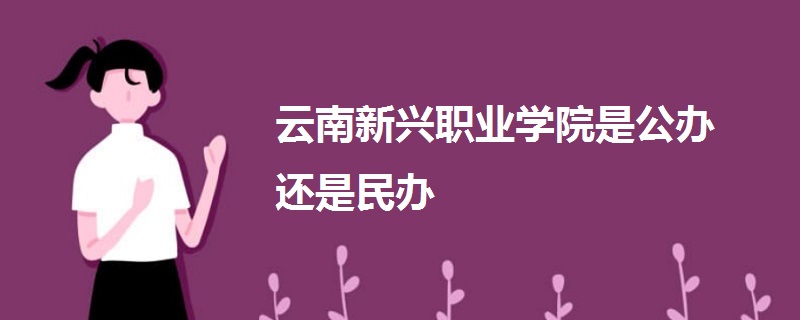 云南新兴职业学院是公办还是民办