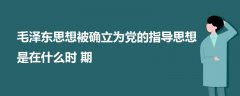 毛泽东思想被确立为党的指导思想是在什么时期