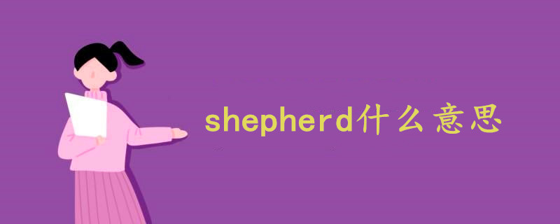 shepherd什么意思