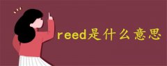 reed是什么意思